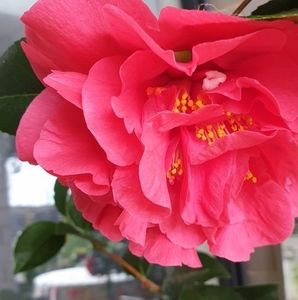 Meet your Posher, Sonia